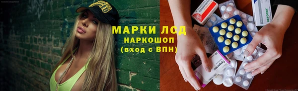 ГАЛЛЮЦИНОГЕННЫЕ ГРИБЫ Нязепетровск