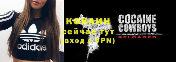 прущая мука Няндома