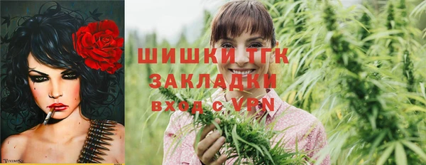 прущая мука Няндома