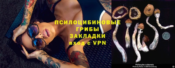 прущая мука Няндома